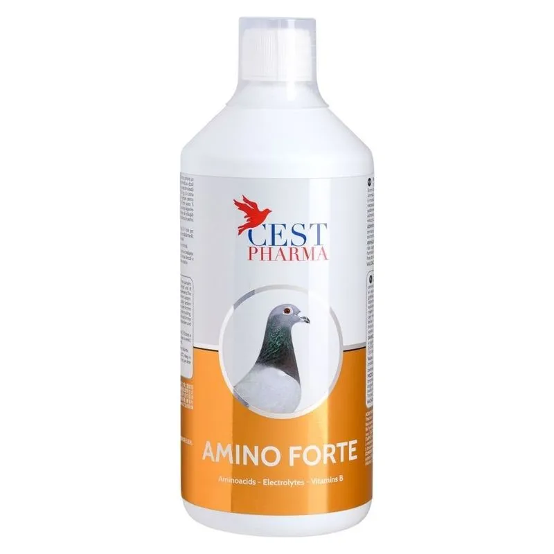 Flaconul de 1 litru de Amino Forte Cest Pharma, supliment pentru porumbei