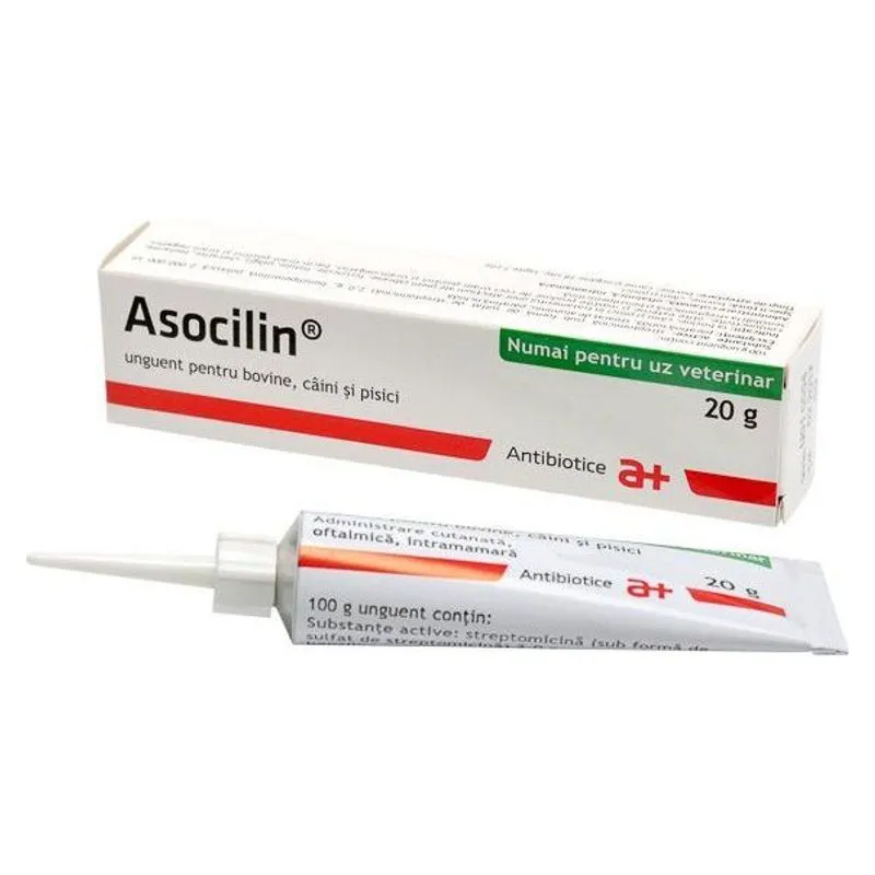 Cutia și tubul de Asocilin 20 g, unguent pentru bovine, câini și pisici