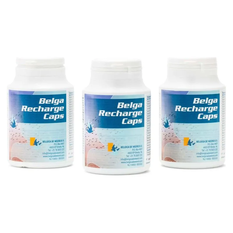 Borcanele de Belga Recharge Caps cu 100 de capsule, supliment proteic pentru porumbei