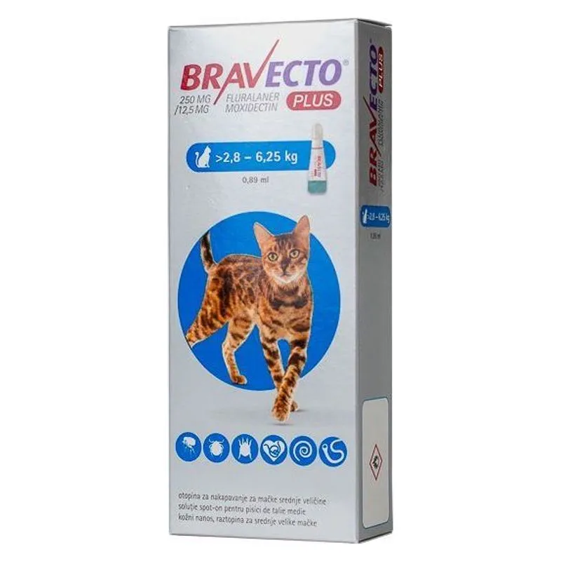 Cutia de Bravecto Plus 250 mg, soluție spot-on pentru pisici de 2,8 până la 6,25 kg