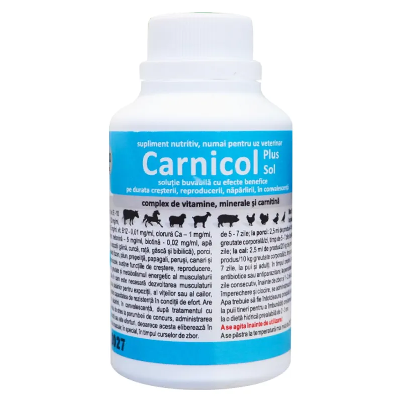 Flaconul de Carnicol Plus soluție buvabilă, supliment nutritiv pentru porumbei și alte animale