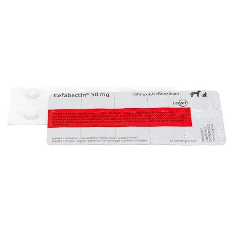 Blisterul de Cefabactin 50 mg, comprimate cu cefalexină pentru câini și pisici