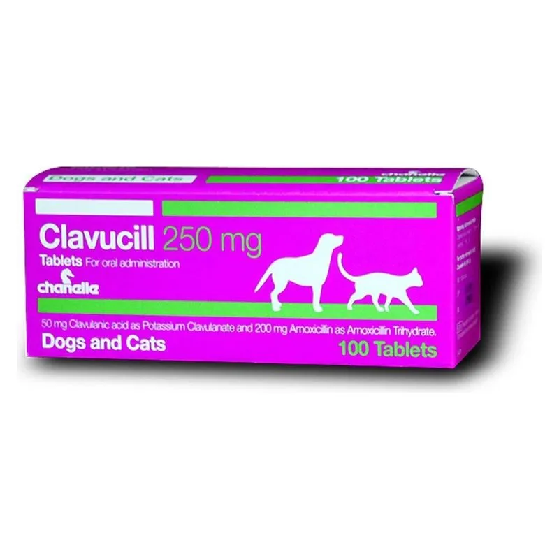 Cutia de Clavucill 250 mg, comprimate cu amoxicilină și acid clavulanic