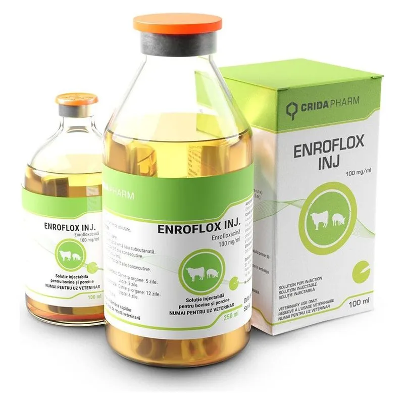 Cutia și flacoanele de Enroflox Inj. 100 mg/ml, soluție injectabilă pentru bovine și porcine