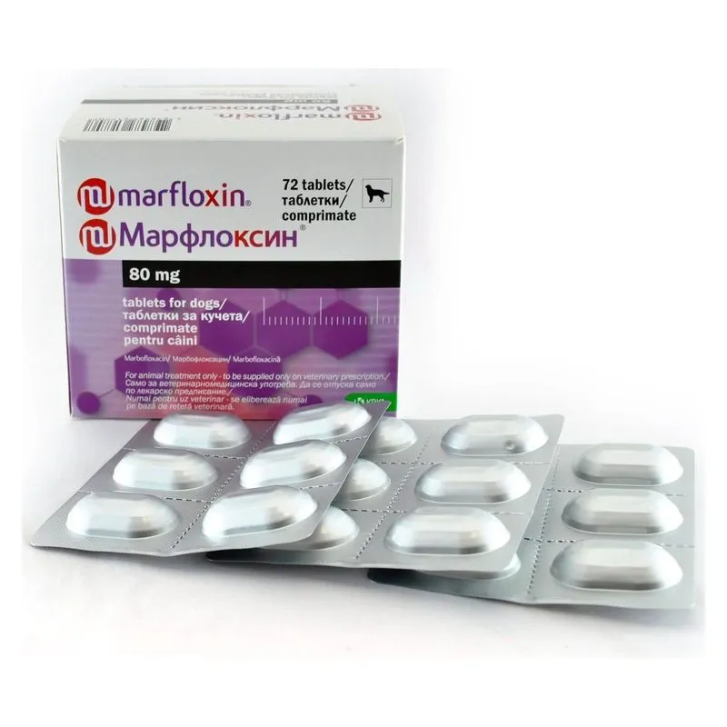 Cutia de Marfloxin 80 mg, comprimate cu marbofloxacină pentru câini, alături de blistere