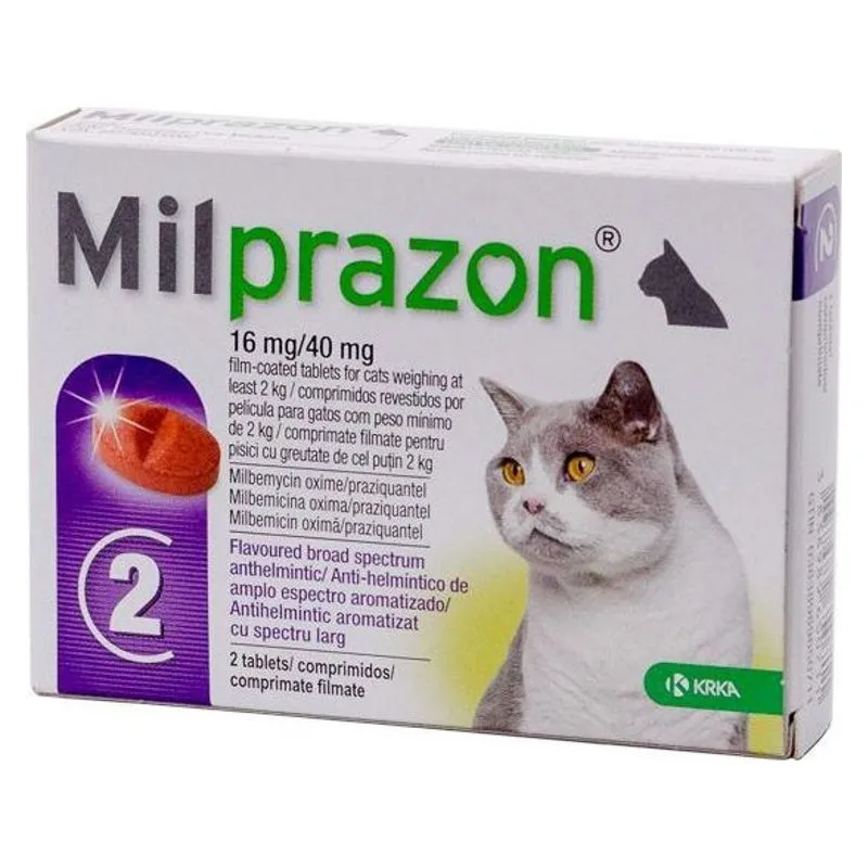 Cutia de Milprazon Cat 16 mg/40 mg, comprimate filmate pentru pisici de cel puțin 2 kg