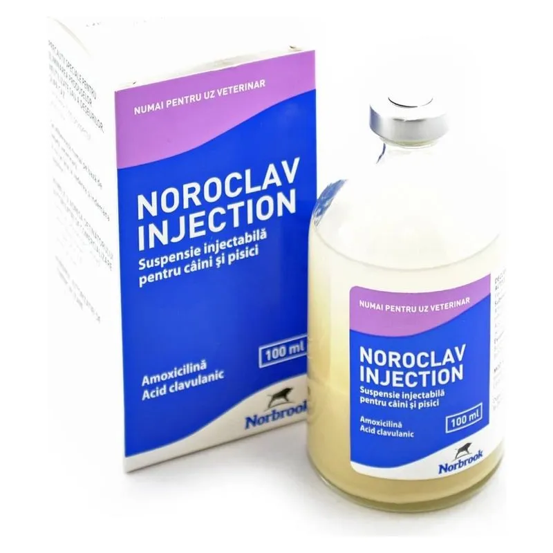 Cutia și flaconul de Noroclav Injection 100 ml, suspensie injectabilă pentru câini și pisici