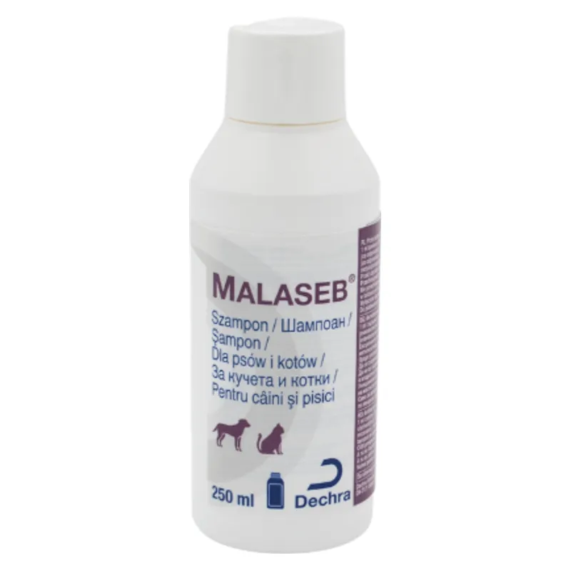 Flaconul de Malaseb șampon Dechra de 250 ml pentru câini și pisici